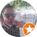 profile-icon
